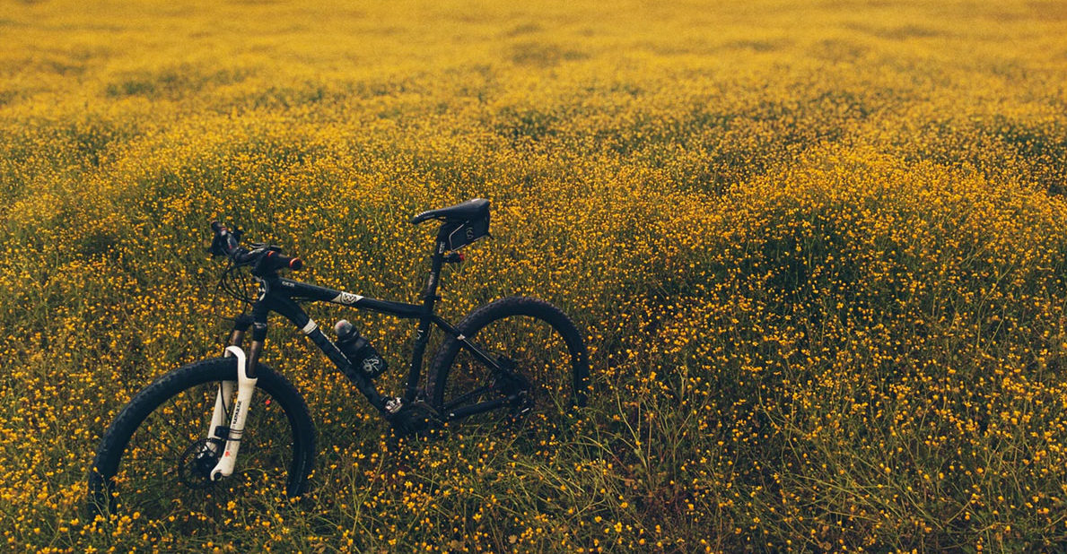 Cycling